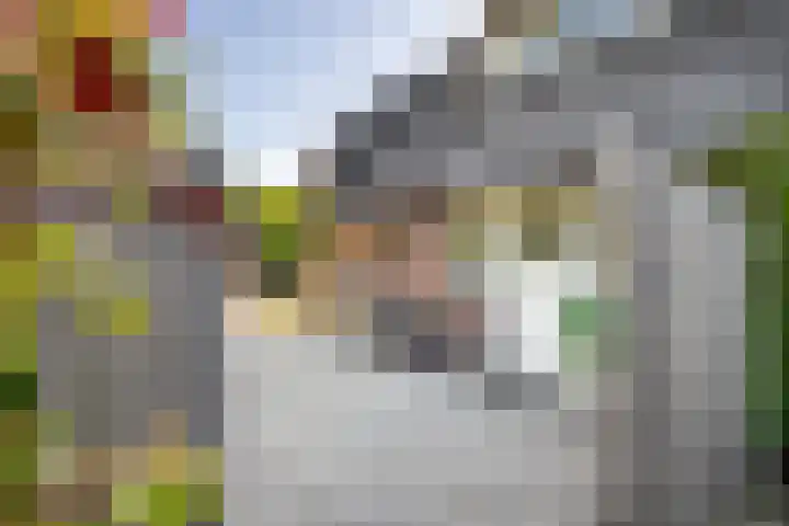 Waalbandijk 120 a Heesselt thumbnail 5