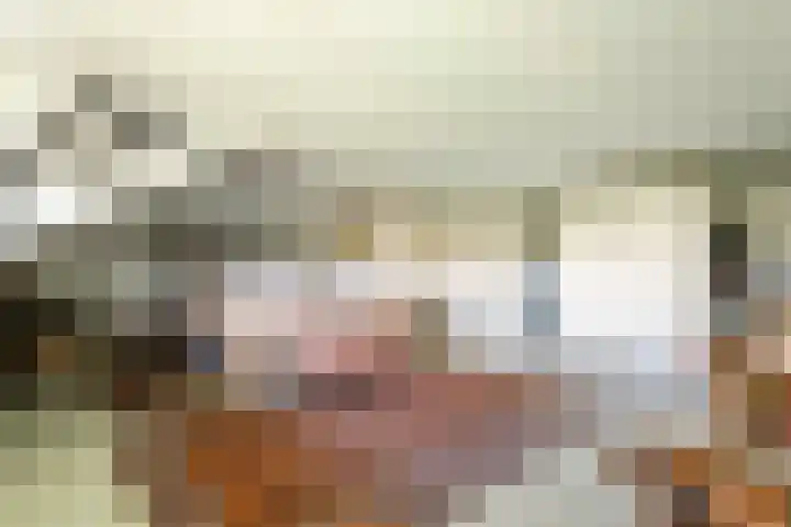 Waalbandijk 120 a Heesselt thumbnail 60