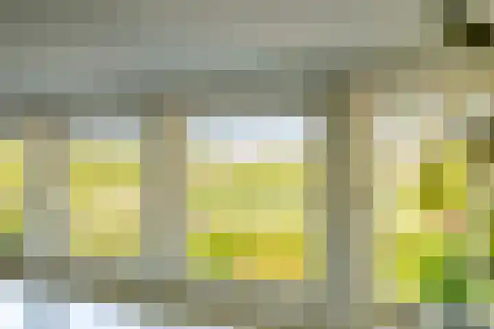 Waalbandijk 120 a Heesselt thumbnail 61