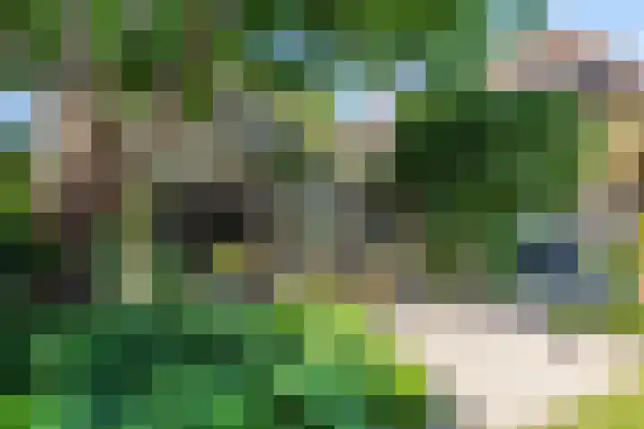 Waalbandijk 120 a Heesselt thumbnail 68