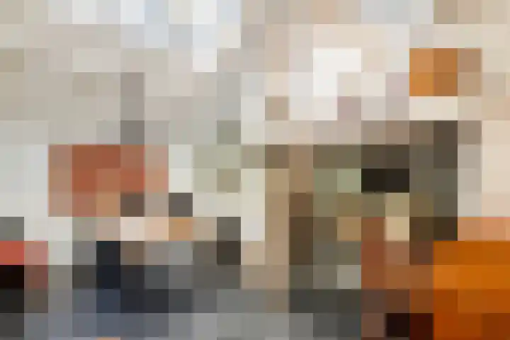 Waalbandijk 120 a Heesselt thumbnail 69