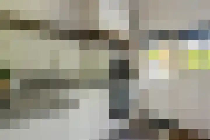 Waalbandijk 120 a Heesselt thumbnail 7