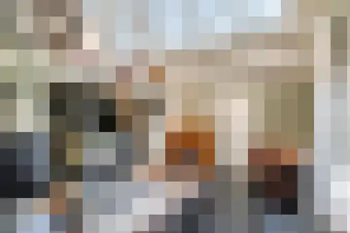Waalbandijk 120 a Heesselt thumbnail 71