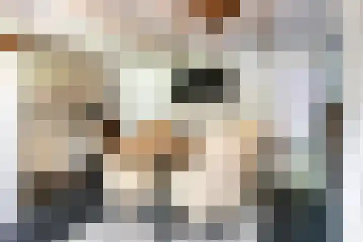 Waalbandijk 120 a Heesselt thumbnail 74