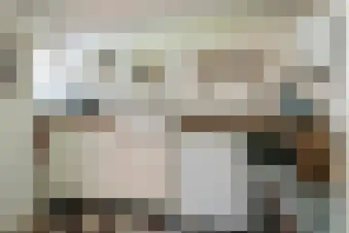 Waalbandijk 120 a Heesselt thumbnail 76
