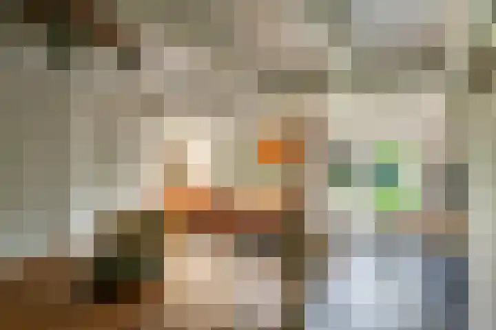 Waalbandijk 120 a Heesselt thumbnail 78