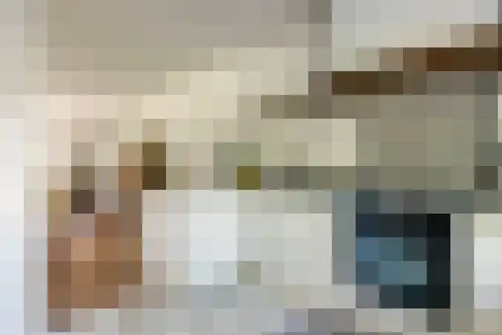 Waalbandijk 120 a Heesselt thumbnail 8