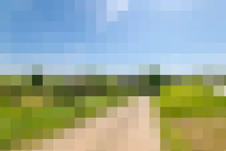 Waalbandijk 120 a Heesselt thumbnail 86