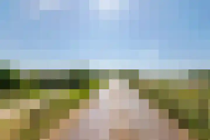 Waalbandijk 120 a Heesselt thumbnail 87