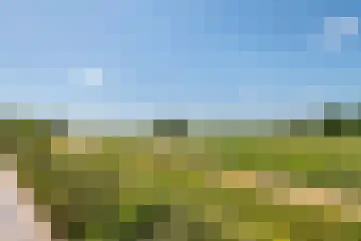 Waalbandijk 120 a Heesselt thumbnail 88