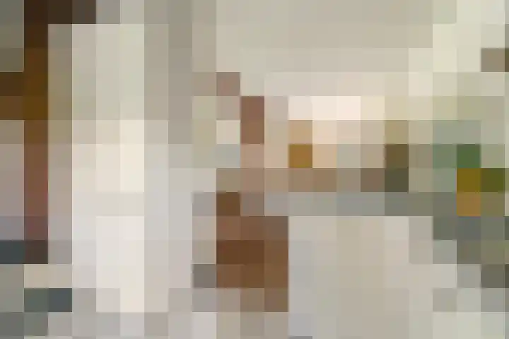 Waalbandijk 120 a Heesselt thumbnail 9