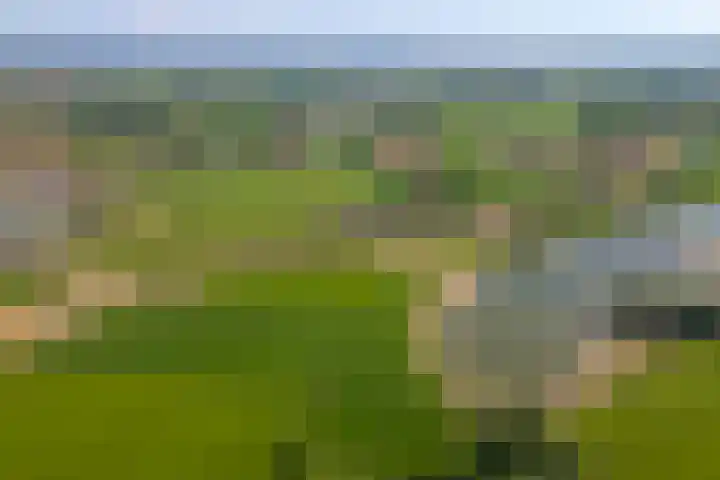 Waalbandijk 120 a Heesselt thumbnail 90