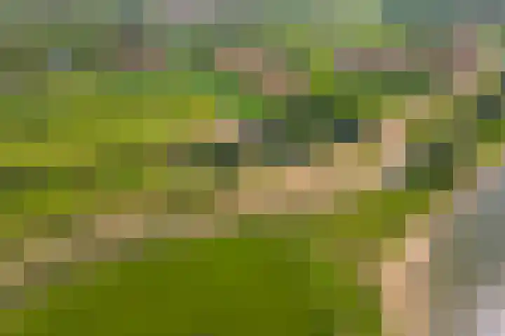 Waalbandijk 120 a Heesselt thumbnail 91