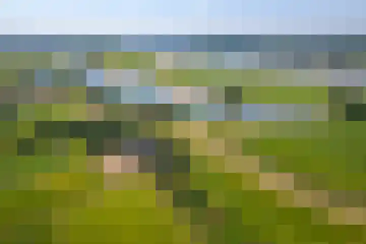Waalbandijk 120 a Heesselt thumbnail 94