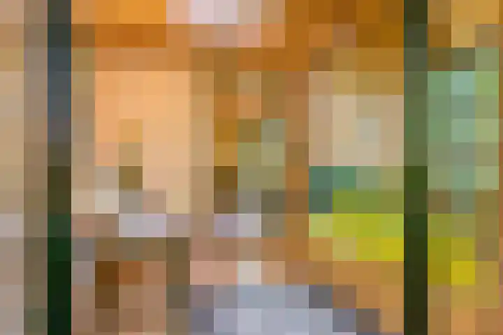 Waalbandijk 120 Heesselt thumbnail 14