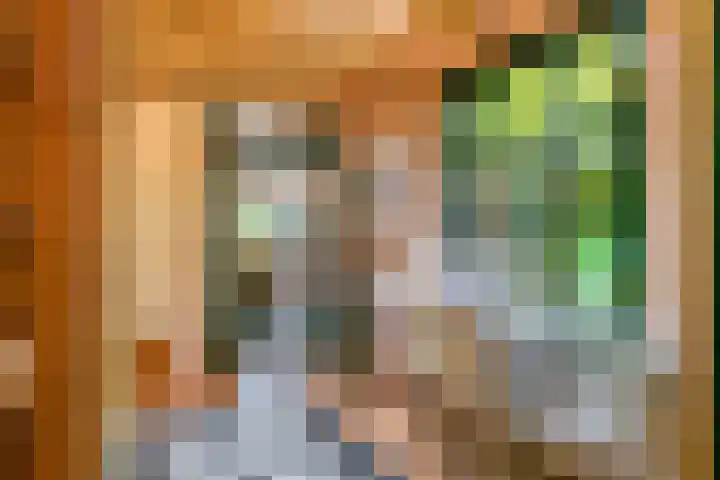 Waalbandijk 120 Heesselt thumbnail 15