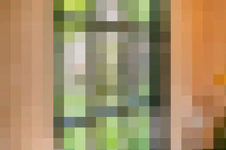 Waalbandijk 120 Heesselt thumbnail 17