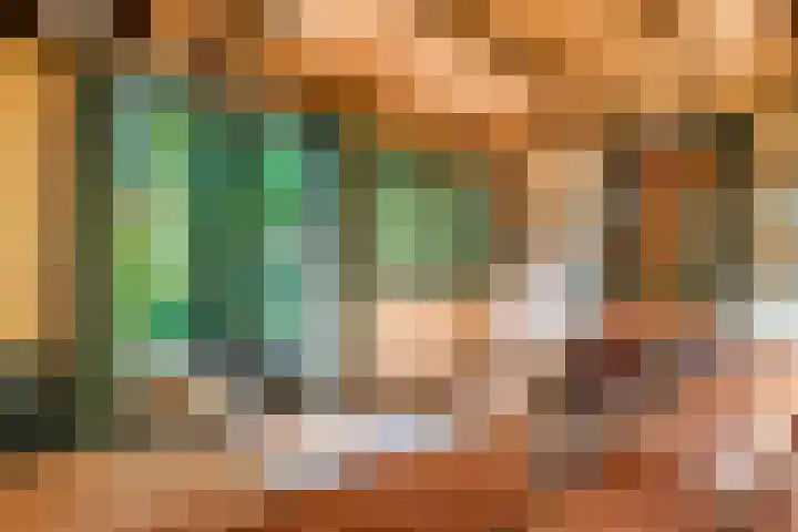 Waalbandijk 120 Heesselt thumbnail 21