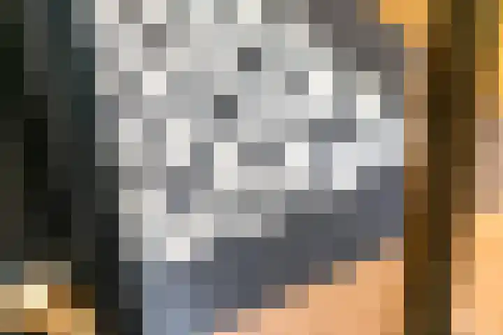 Waalbandijk 120 Heesselt thumbnail 22