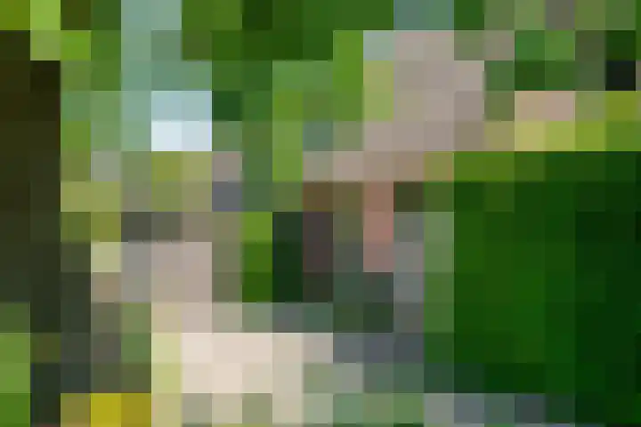 Waalbandijk 120 Heesselt thumbnail 23