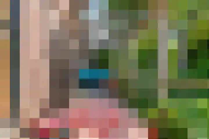 Waalbandijk 120 Heesselt thumbnail 25
