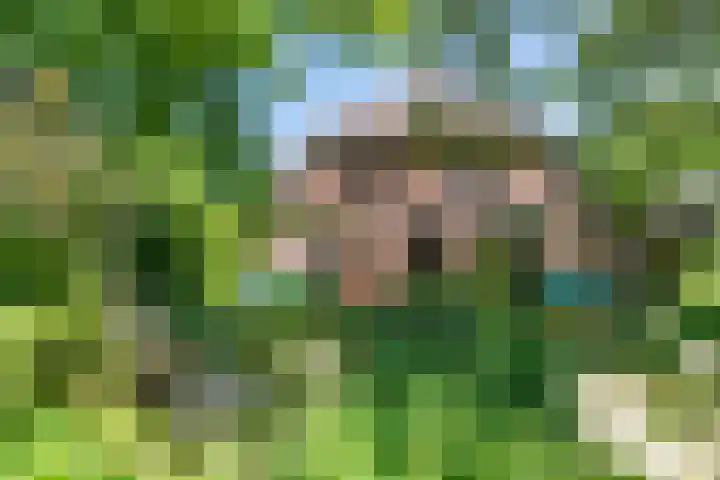 Waalbandijk 120 Heesselt thumbnail 26