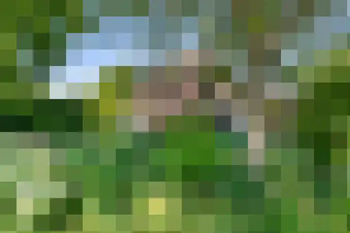 Waalbandijk 120 Heesselt thumbnail 27