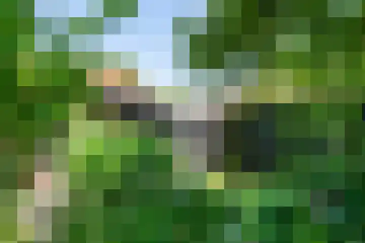 Waalbandijk 120 Heesselt thumbnail 28
