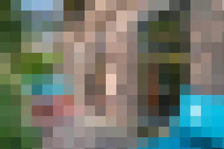 Waalbandijk 120 Heesselt thumbnail 30