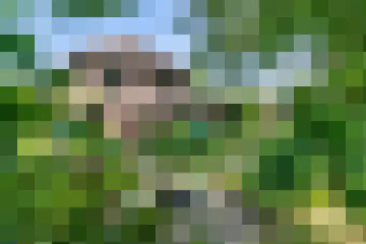 Waalbandijk 120 Heesselt thumbnail 31