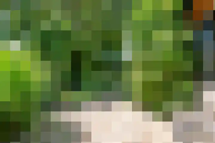 Waalbandijk 120 Heesselt thumbnail 32