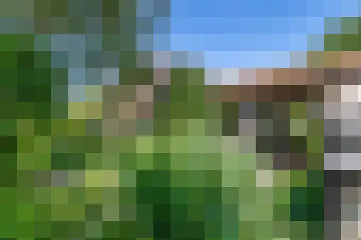 Waalbandijk 120 Heesselt thumbnail 33