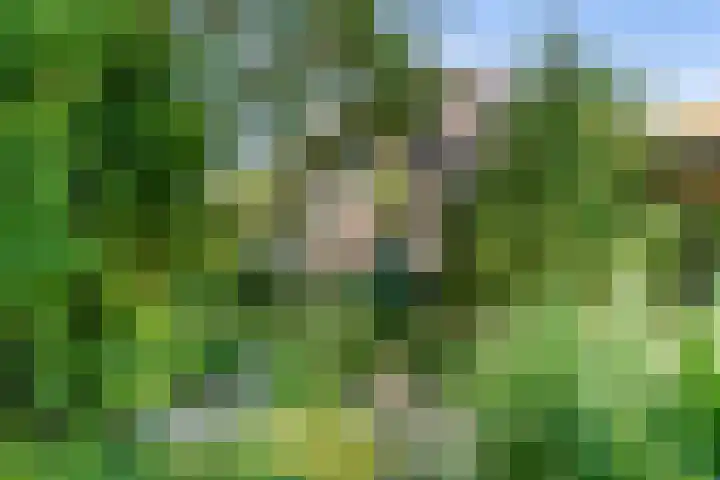Waalbandijk 120 Heesselt thumbnail 34