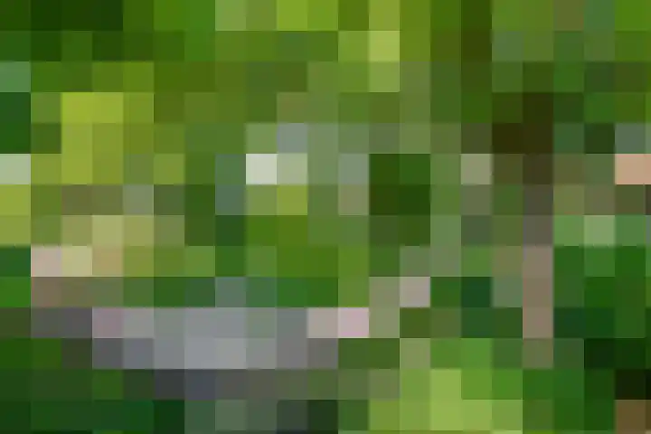 Waalbandijk 120 Heesselt thumbnail 35