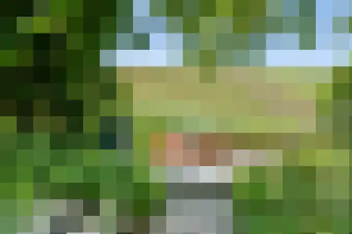 Waalbandijk 120 Heesselt thumbnail 36