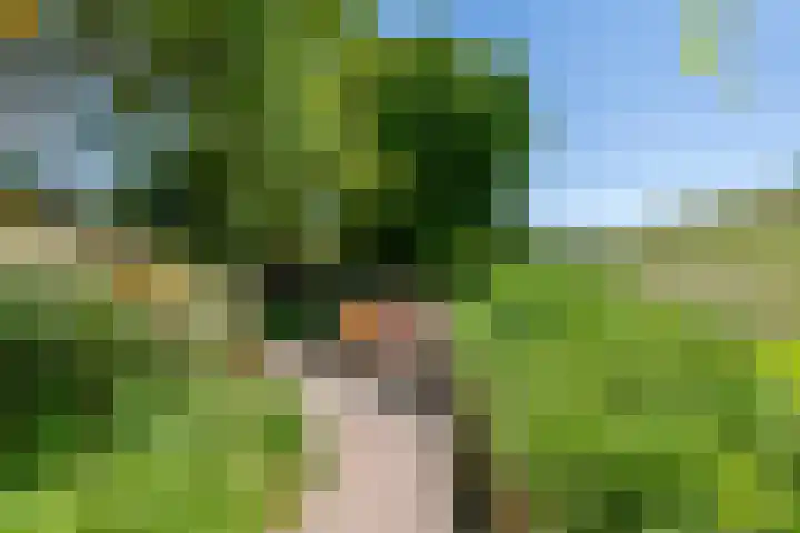 Waalbandijk 120 Heesselt thumbnail 37