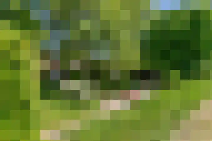 Waalbandijk 120 Heesselt thumbnail 38