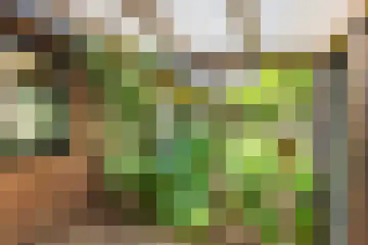 Waalbandijk 120 Heesselt thumbnail 39