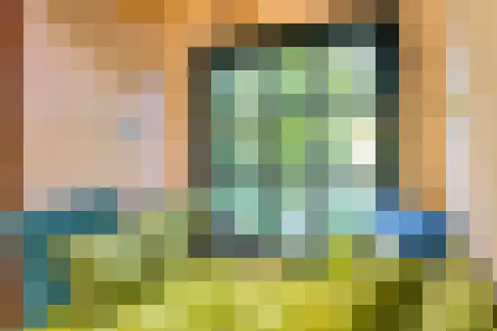 Waalbandijk 120 Heesselt thumbnail 4