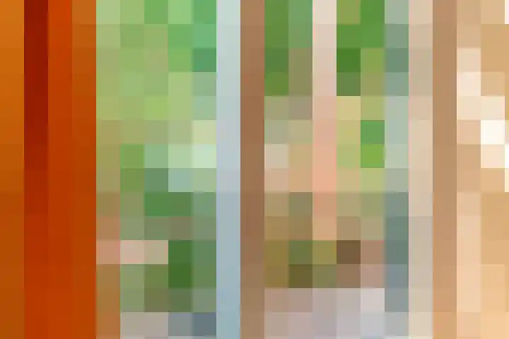 Waalbandijk 120 Heesselt thumbnail 41