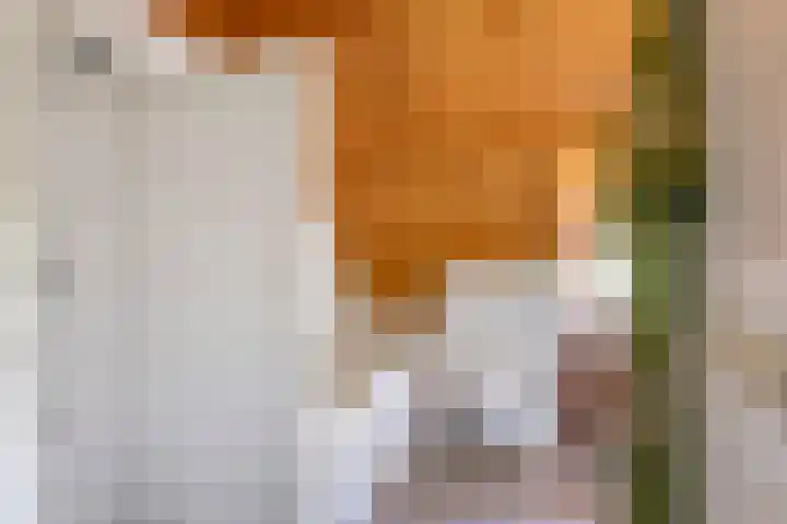 Waalbandijk 120 Heesselt thumbnail 52