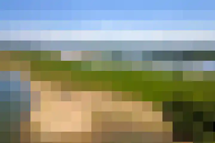 Waalbandijk 120 Heesselt thumbnail 57
