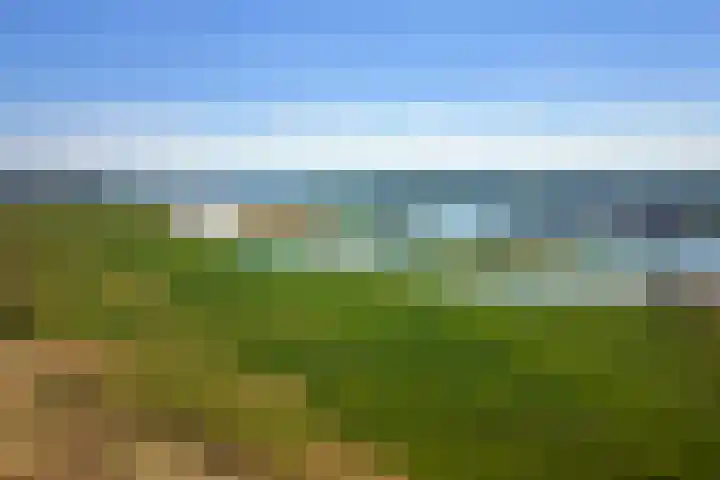 Waalbandijk 120 Heesselt thumbnail 58