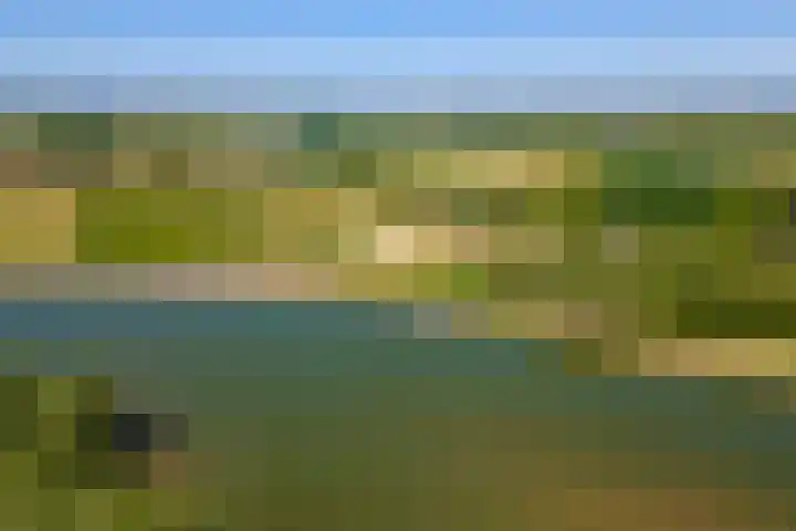 Waalbandijk 120 Heesselt thumbnail 59