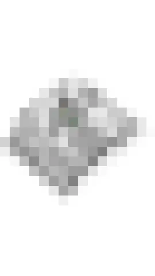 Waalbandijk 120 Heesselt thumbnail 65