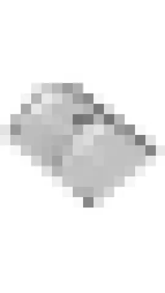 Waalbandijk 120 Heesselt thumbnail 69