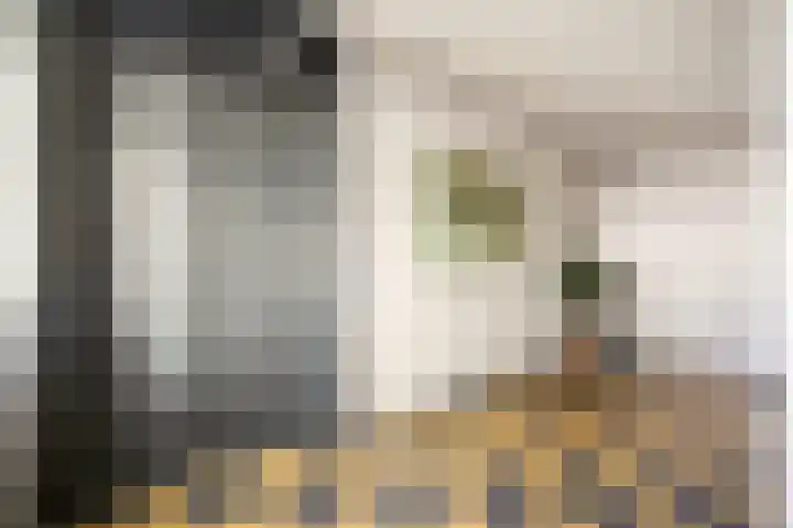 Waalbandijk 125 Nijmegen thumbnail 29