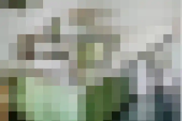 Waalbandijk 16 Varik thumbnail 10