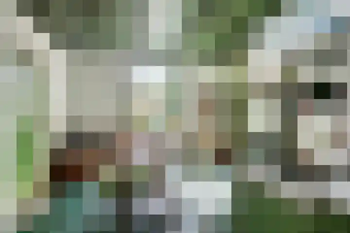 Waalbandijk 16 Varik thumbnail 12