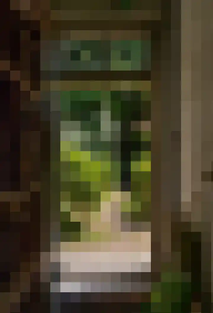Waalbandijk 16 Varik thumbnail 14